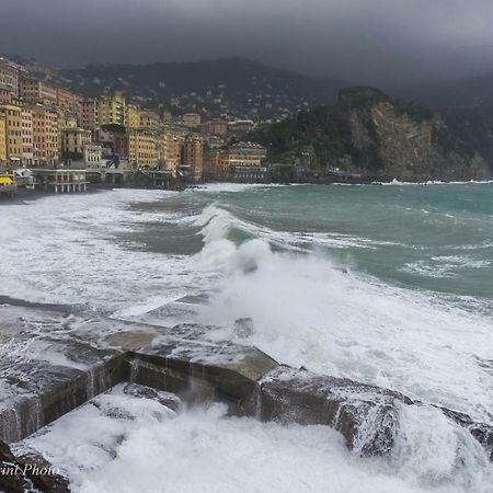 La Casa Di Francy Apartman Camogli Kültér fotó