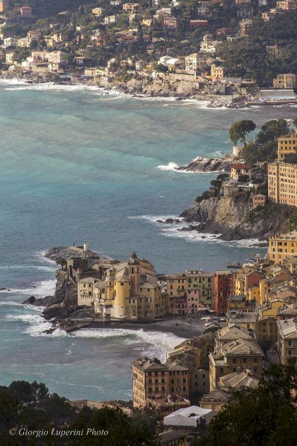 La Casa Di Francy Apartman Camogli Kültér fotó