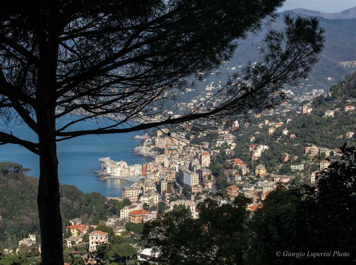 La Casa Di Francy Apartman Camogli Kültér fotó