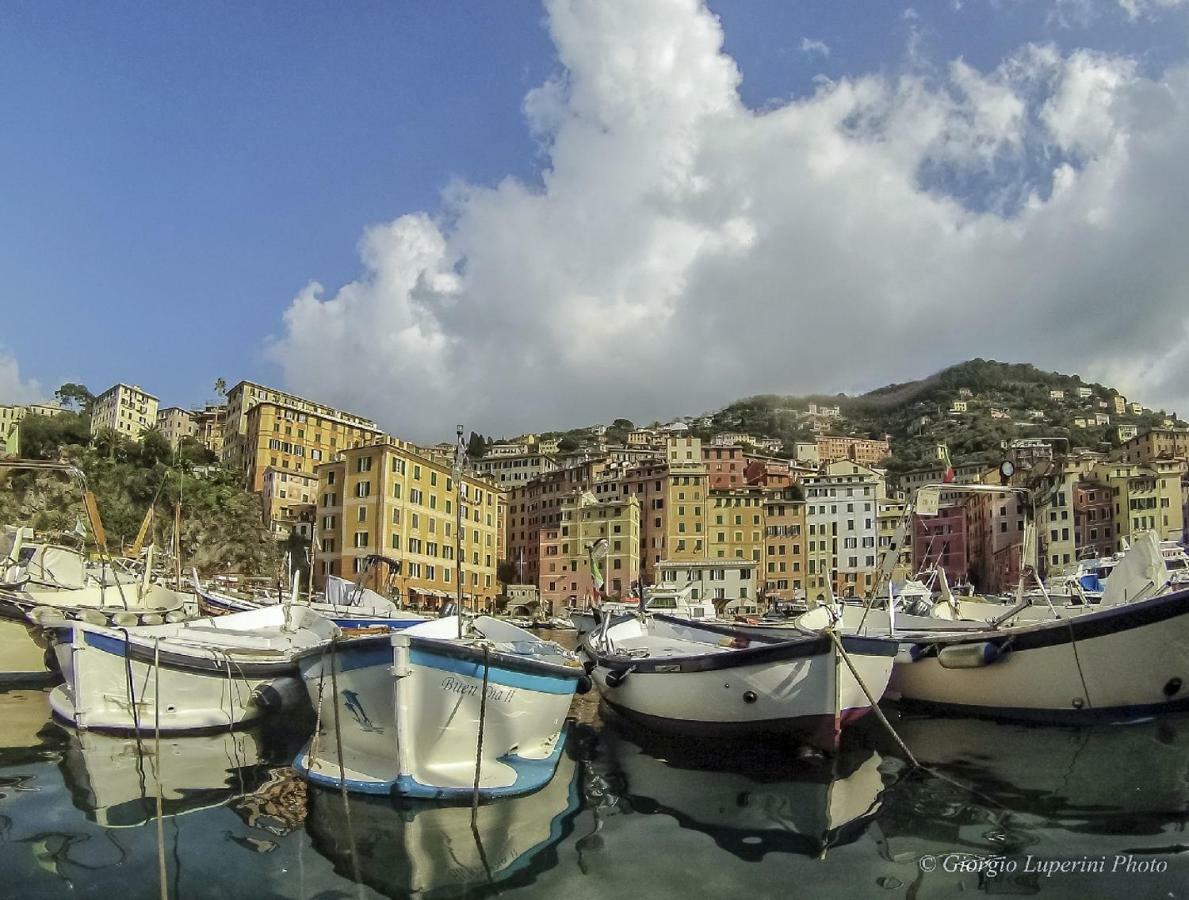 La Casa Di Francy Apartman Camogli Kültér fotó