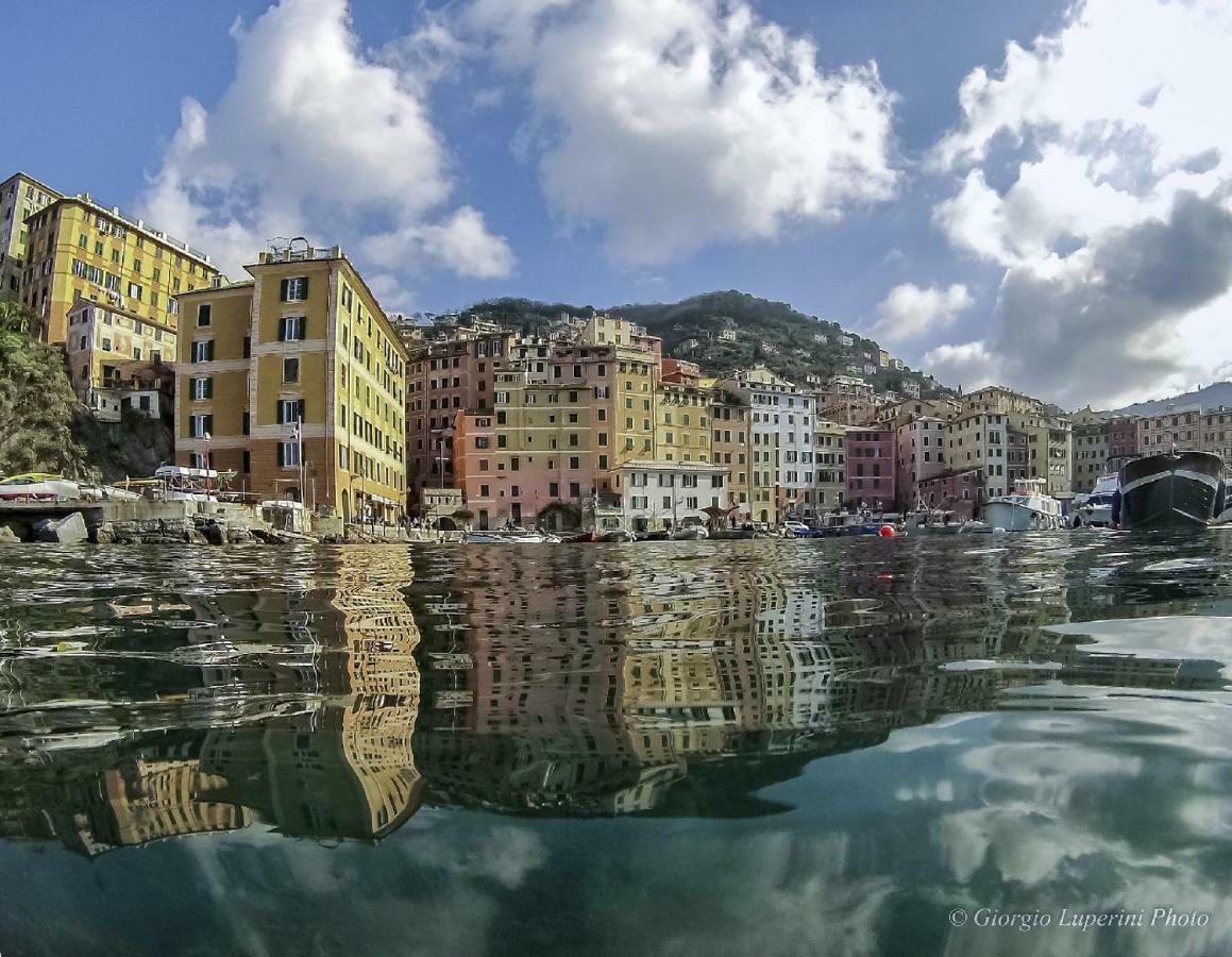 La Casa Di Francy Apartman Camogli Kültér fotó
