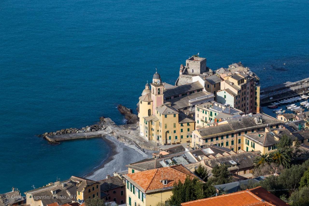 La Casa Di Francy Apartman Camogli Kültér fotó