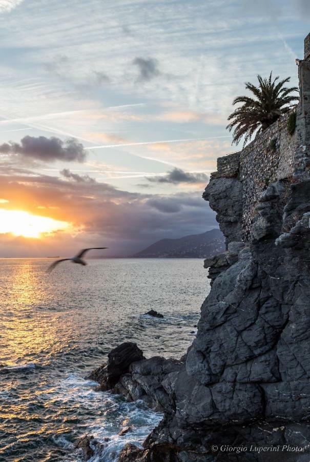 La Casa Di Francy Apartman Camogli Kültér fotó