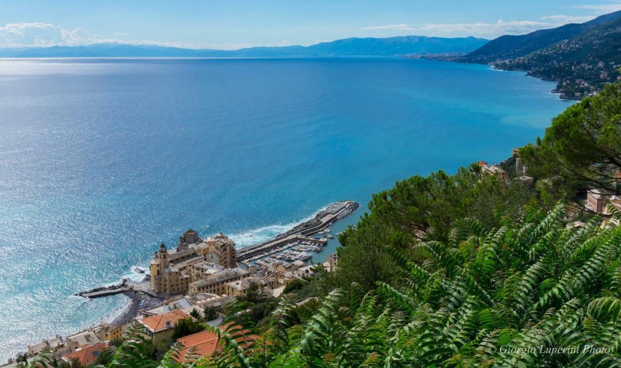 La Casa Di Francy Apartman Camogli Kültér fotó