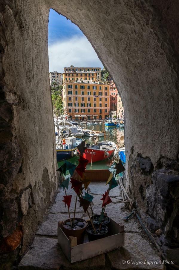 La Casa Di Francy Apartman Camogli Kültér fotó
