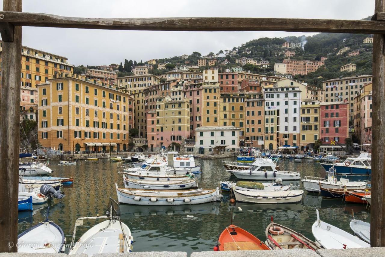 La Casa Di Francy Apartman Camogli Kültér fotó