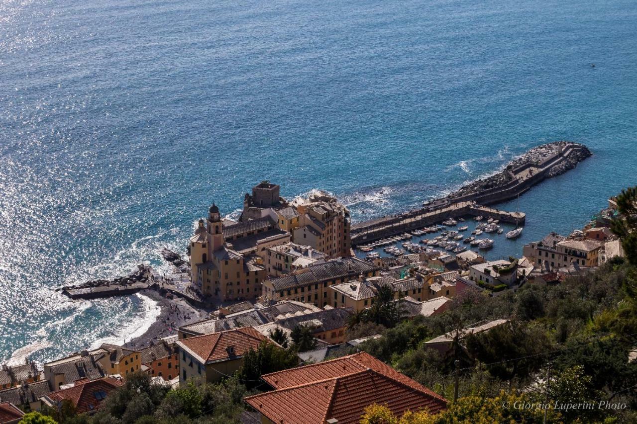 La Casa Di Francy Apartman Camogli Kültér fotó